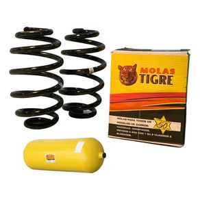 Mola Espiral Ts Focus 00/13 P/ Gas Cada