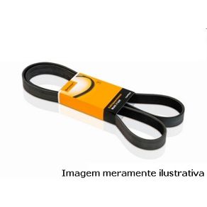Correia Poli V Renault Clio Logan Sandero Megane Duster Sym