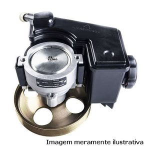 Bomba Direcao Hidraulica com Polia Peugeot 206 207 1.4 1.6
