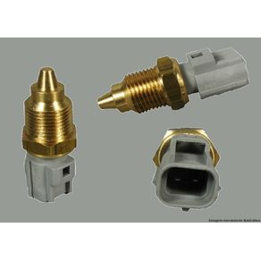 Valvula Sensor Temperatura Dagua Plug Cinza 2 Pinos Rosca F