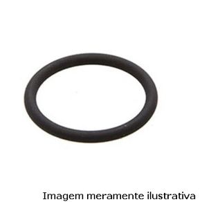Arruela Bujao Carter Corsa/ Onix/ Prisma/ Vectra/ Astra/ Meriva/ Montana/ Onix/ Prisma/ Spin 22Mm (Und)