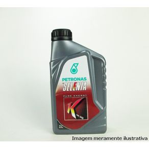 Óleo Motor 5W30 Api Sm Selenia K Pure Energy Fiat Sintetico