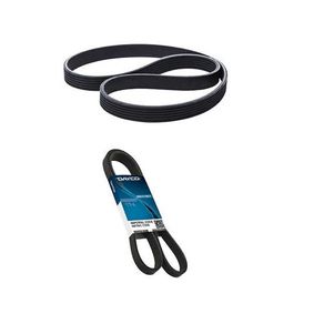 Correia Poli V Ford Ranger 2.5 Flex Duratec 2012/ Grand Che