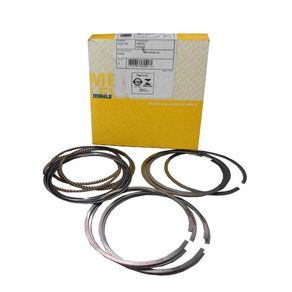 Anel Segmento Std Motor Gm Vectra 2.4 2006/ S10 Blazer 2.4