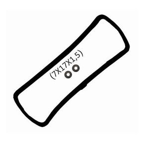 Junta Tampa Valvula Motor com Oring Peugeot 106 206 207 306