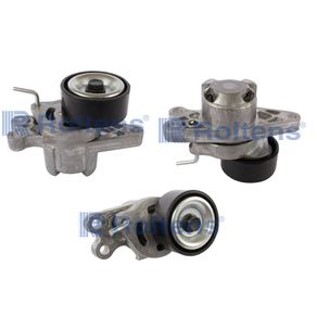 Polia Tensor Alternador Peugeot 206 307 1.4 1.6 8V 16V Citr