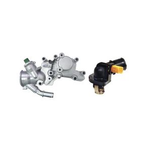 Carcaca Aluminio com Valvula Termostatica com Camara Plasti