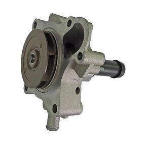 Bomba Dagua Polia Inferior Plastico Haste 75,00Mm Iveco Dai