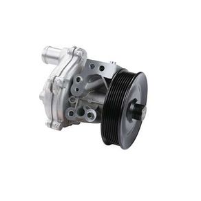Bomba Dagua com Polia Ford Transit 2.4 16V 2008/2011