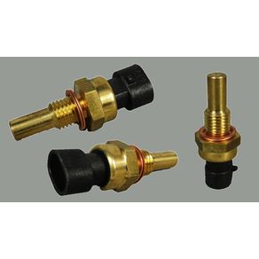 Valvula Sensor Temperatura Dagua Plug Preto 2 Pinos Rosca G