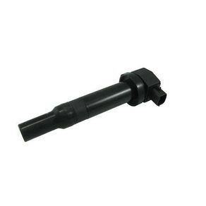 Bobina Ignicao 2 Pinos Hyundai Santa Fe 2.7 4X4 V6 2007/