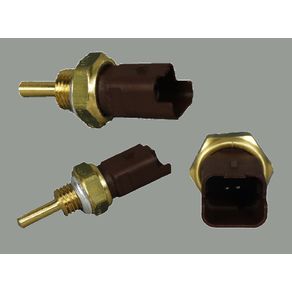 Valvula Sensor Temperatura Dagua Plug Vermelho 2 Pinos Rosc
