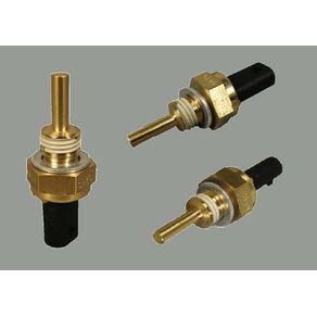 Valvula Sensor Temperatura Dagua Plug Preto 2 Pinos Rosca G