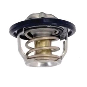 Termostato Livina 1.8 16V 09/ Versa 1.6 16V 11/ March 1.6 16V 11/ Sentra 2.0 16V 07/ Tiida 1.8 16V 09/