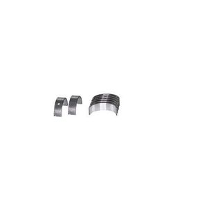 Bronzina F Hb20 1.0 12V 12/ Picanto 1.0 12V 10/ 3 Cil 0,25