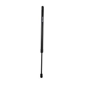 Amort Ml Spin 12/