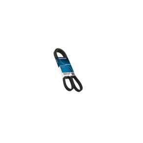 Correia Soul 1.6 16V 09/14 Cerato/ Veloster 1.6 16V 12/ Tucson/ Creta 1.6 16V 17/ Rav4 2.5 16V 12/16 Gir/Acd/Ba/Alt