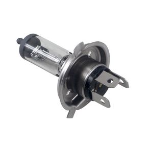 Lampada Biodo H4 P43t (Farol Alto Baixo) Iveco Mercedes Sca