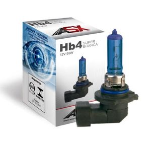 Lampada Biodo Hb4 9006 12V 55W Super Branca