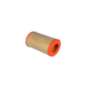 Filtro Ar Ducato/ Boxer/ Jumper 2.3/ 2.5/ 2.8 Tds