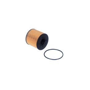 Filtro Oleo Master 2.5 Dci Diesel 05/12