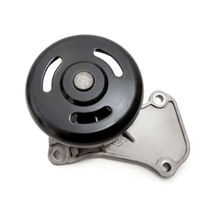 Bomba Dagua Logan/ Sandero/ Kwid 1.0 3Cil 17/