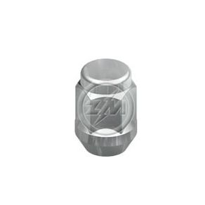 Porca Rd Fiesta/ Courier/ Ka/ Focus/ Ecosport/ Escort/ Mondeo/ Verona/ S10/ Blazer M12-1,5 X Ch/Sw 19 H31