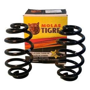 Mola Espiral Ts Ka G2 12/14 P/ Gas Cada